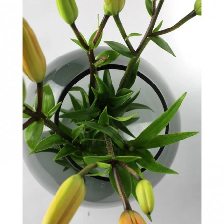 Vaso Oblò in vetro rotondo grigio