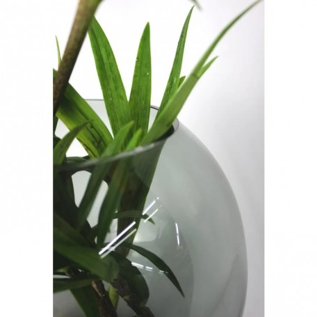 Vaso Oblò in vetro rotondo grigio