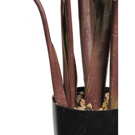 Alocasia Macrorrhiza Artificiale Verde, Base con ciottoli 150cm