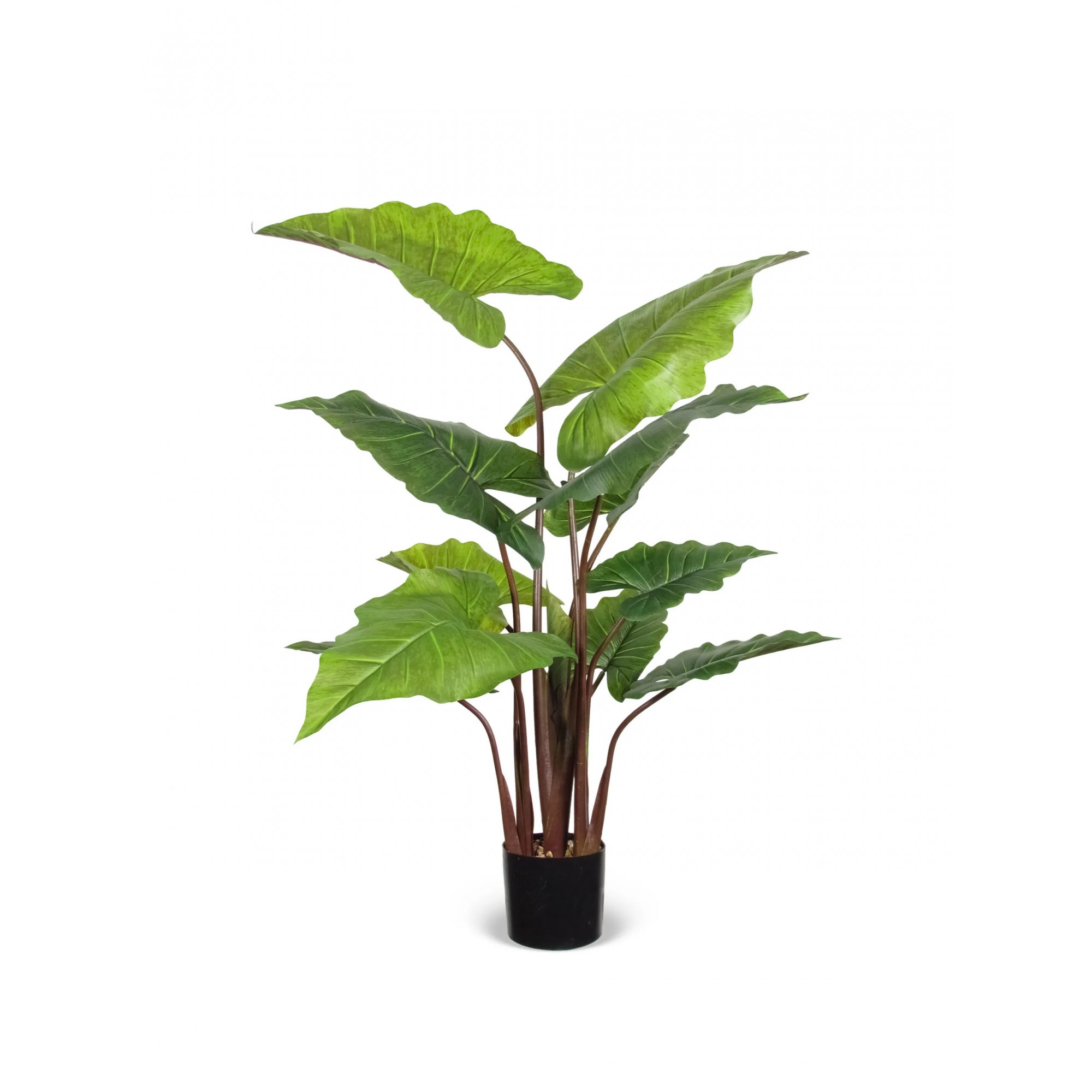 Giulia Grillo Alocasia Macrorrhiza Artificiale Verde, Base con ciottoli 150cm