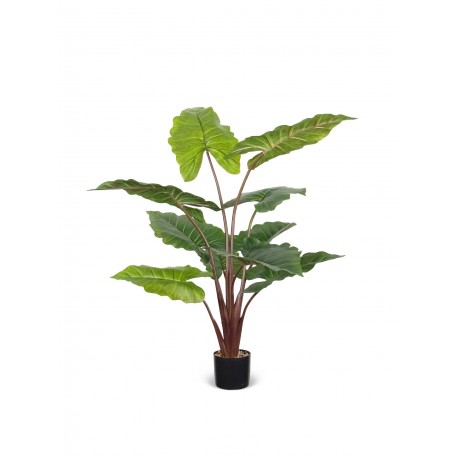 Alocasia Macrorrhiza Artificiale Verde, Base con ciottoli 120cm