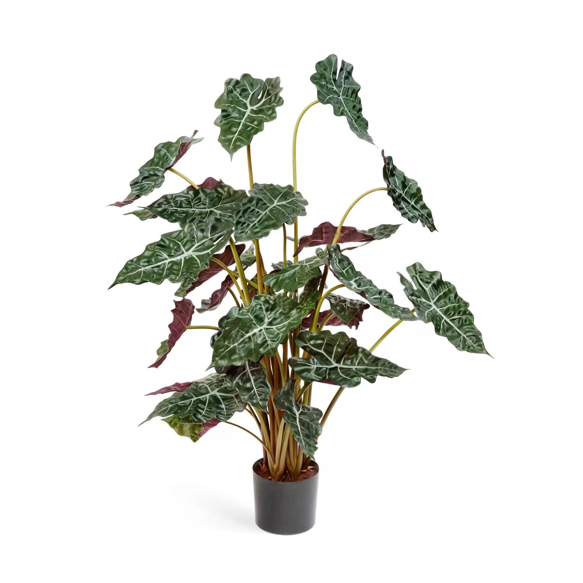  Alocasia Polly Artificiale Variegata UVR 90cm