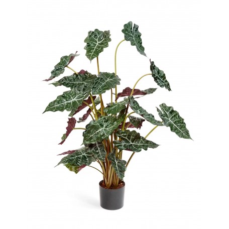 Alocasia Polly Artificiale Variegata UVR 90cm