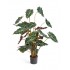 Alocasia Polly Artificiale Variegata UVR 90cm