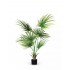 Camerus Palma Artificiale Verde 130cm
