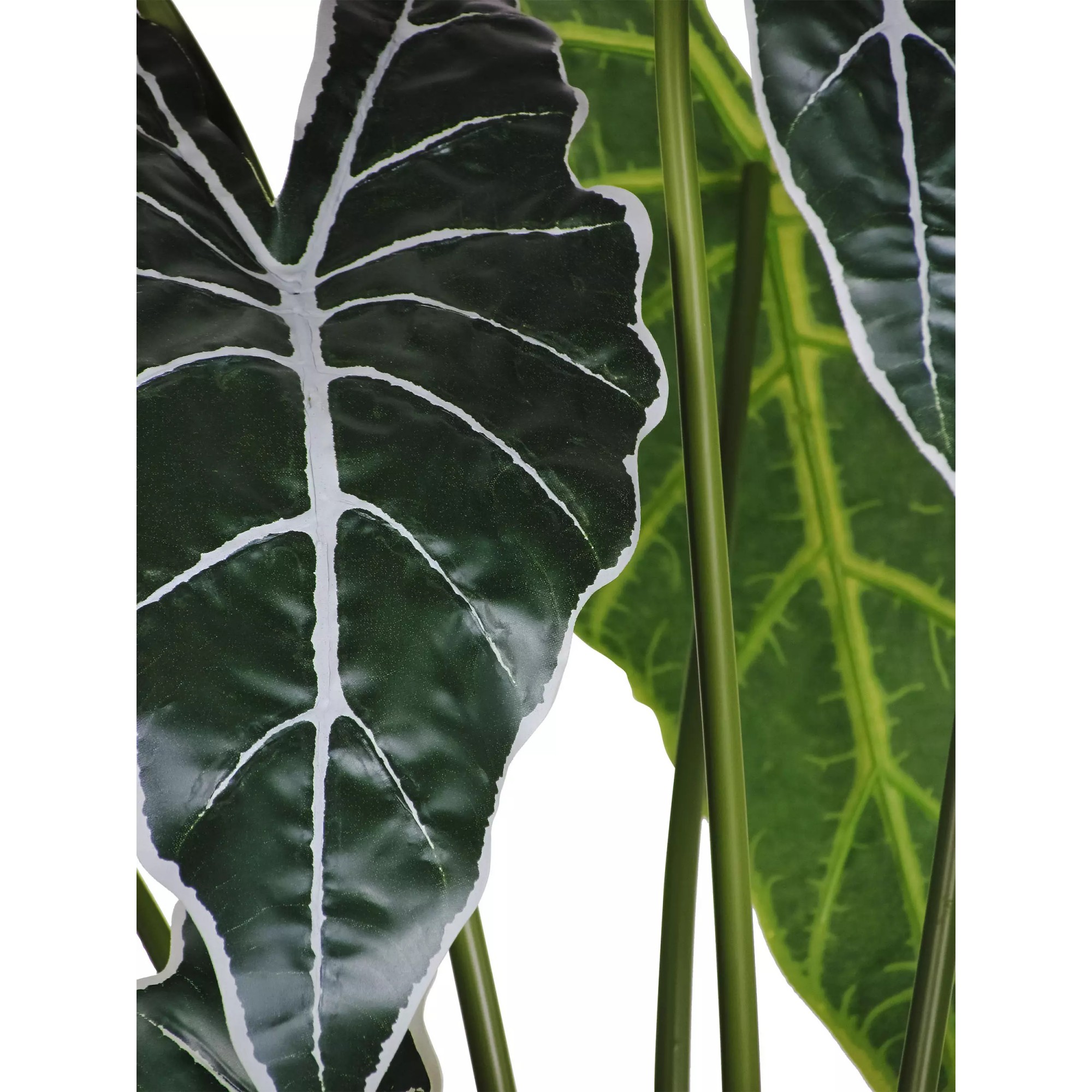  Grand Syngonium Artificiale Variegato con 12 foglie 100 cm