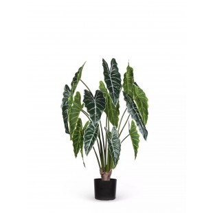 Grand Syngonium Artificiale...