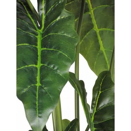 Pianta Grand Syngonium artificiale verde 100cm