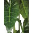 Pianta Grand Syngonium artificiale verde 100cm