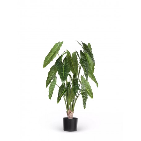 Pianta Grand Syngonium artificiale verde 100cm