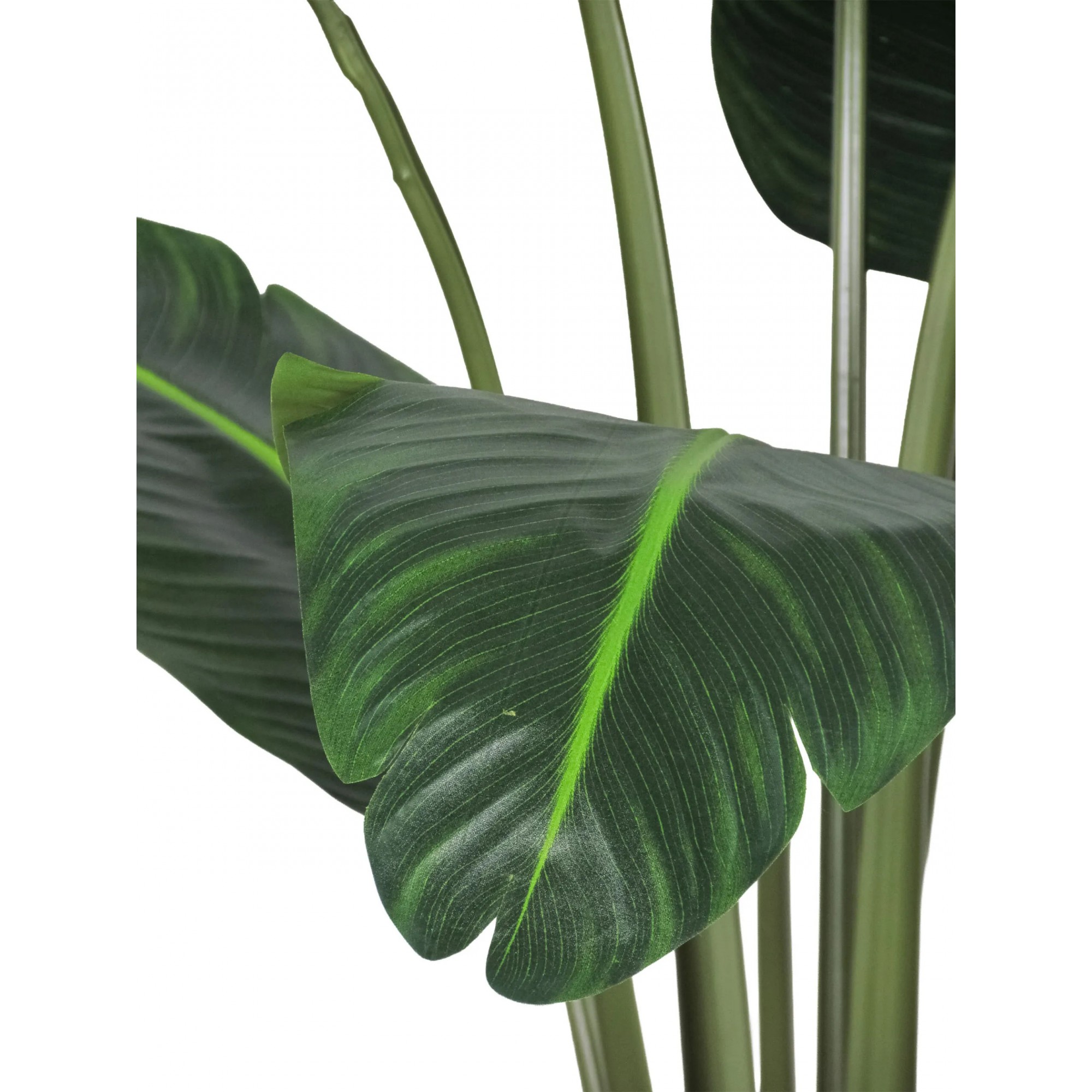 Giulia Grillo Palma del Viaggiatore Deluxe Artificiale Verde 12 Foglie 180cm