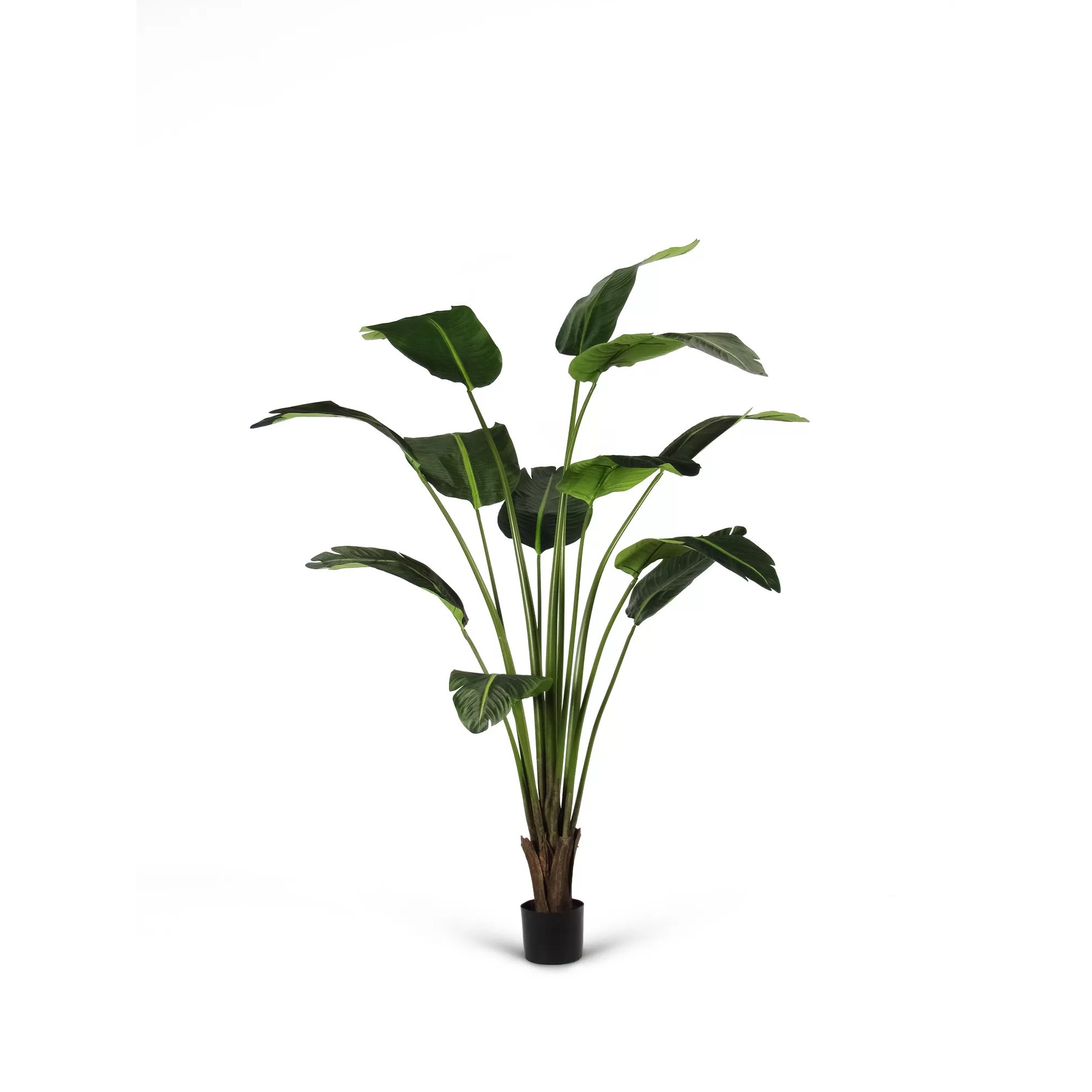 Giulia Grillo Palma del Viaggiatore Deluxe Artificiale Verde 12 Foglie 180cm