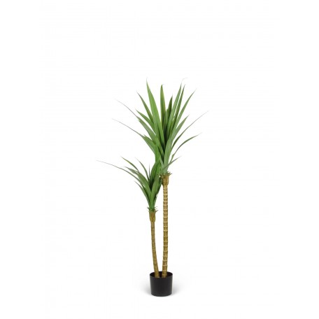 Dracena Angustifolia Artificiale  Verde  UVR H 150 CM