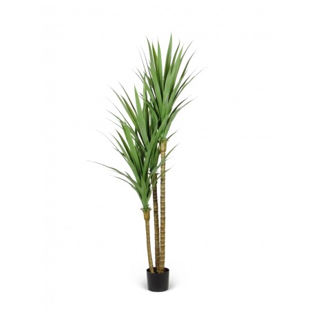 Dracena Angustifolia Artificiale  Verde  UVR H 180 CM