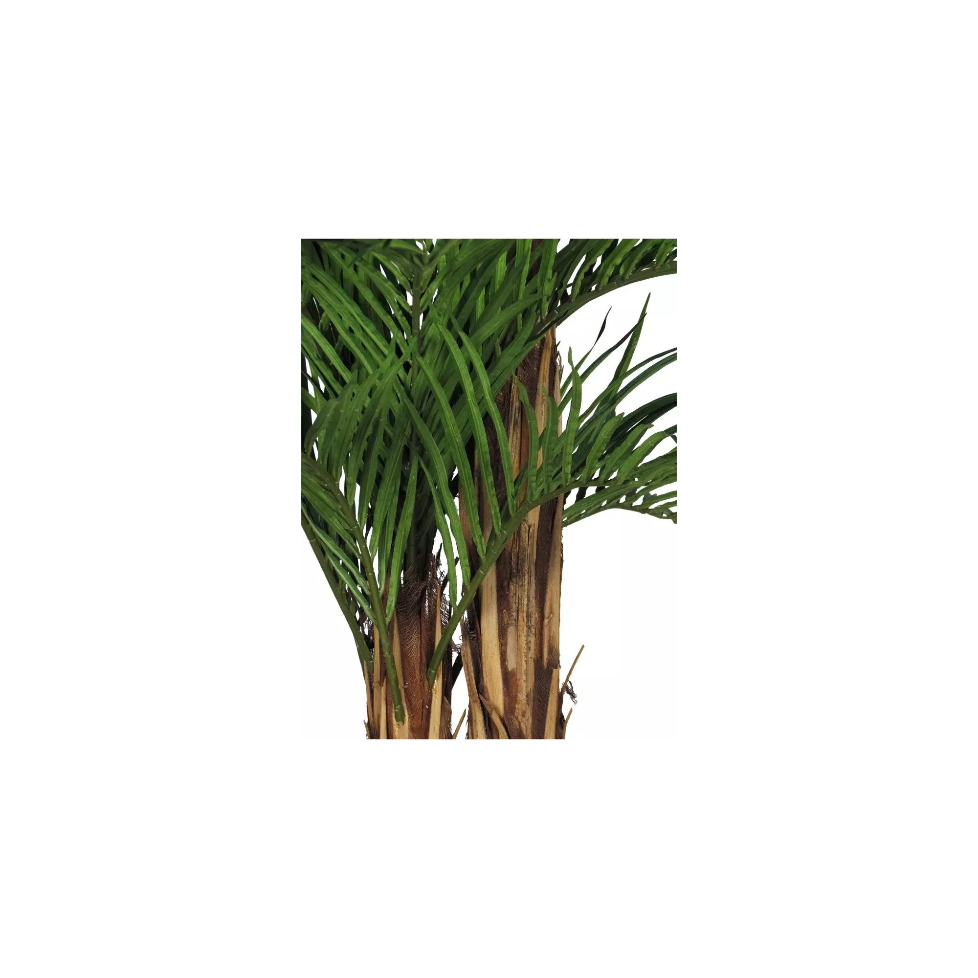  Palma Areca Seminaturale  Verde  Tronco in fibra di Cocco  UVR  H 210 cm