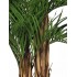 Palma Areca Seminaturale  Verde  Tronco in fibra di Cocco  UVR  H 210 cm