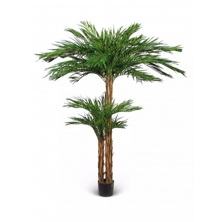 Palma Areca Seminaturale  Verde  Tronco in fibra di Cocco  UVR  H 210 cm