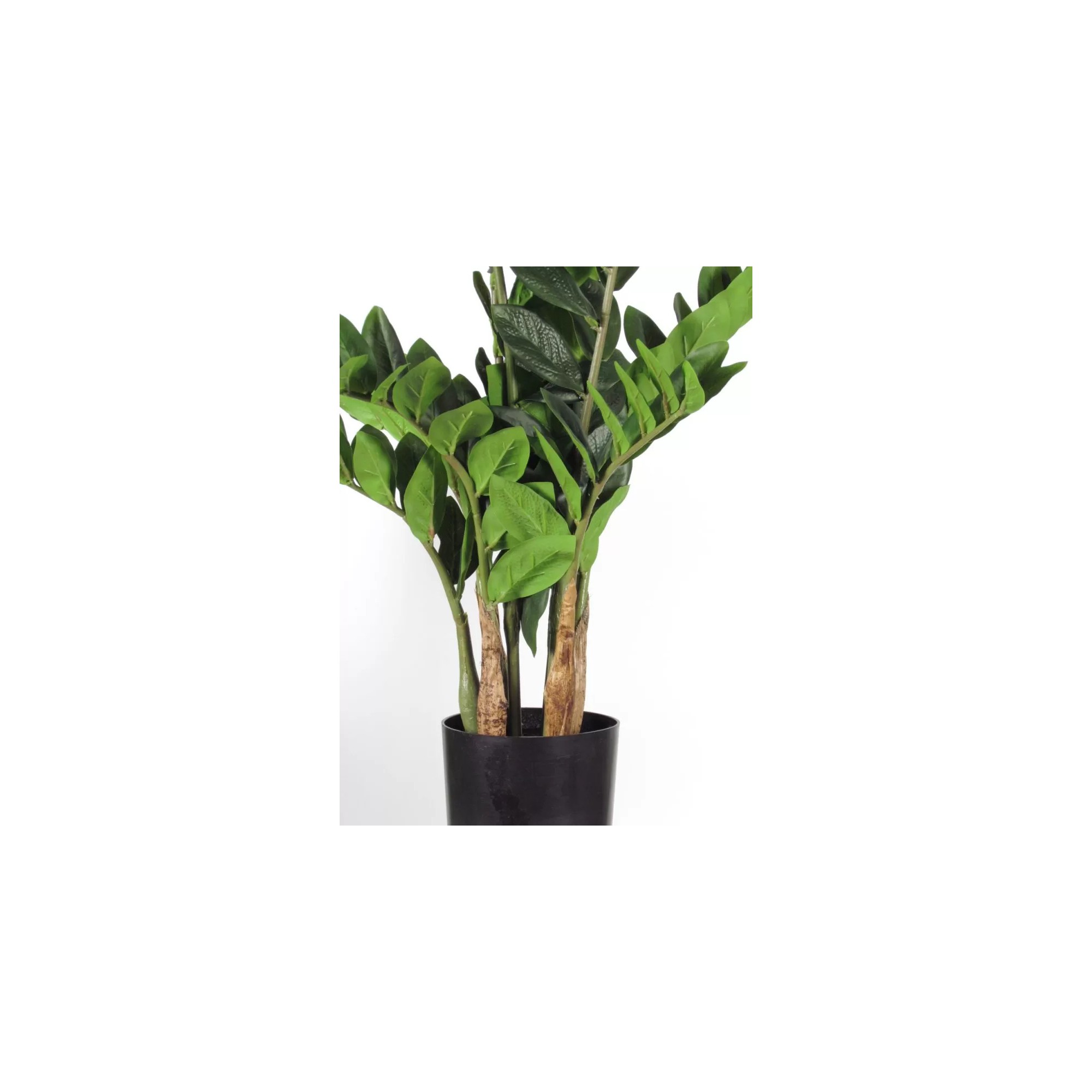 Giulia Grillo Zamioculcas Artificiale  Verde  Foglie Real Touch  H 120 cm