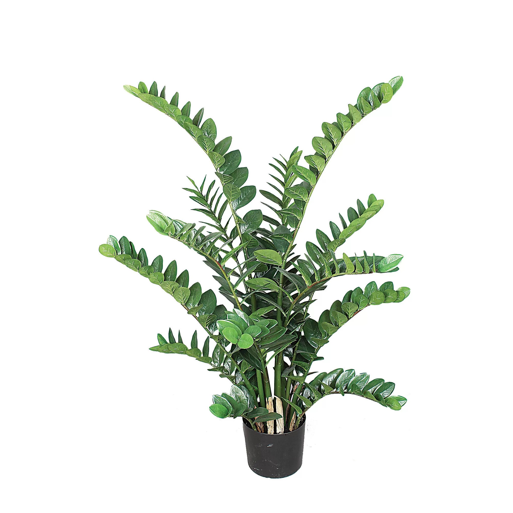 Giulia Grillo Zamioculcas Artificiale  Verde  Foglie Real Touch  H 120 cm