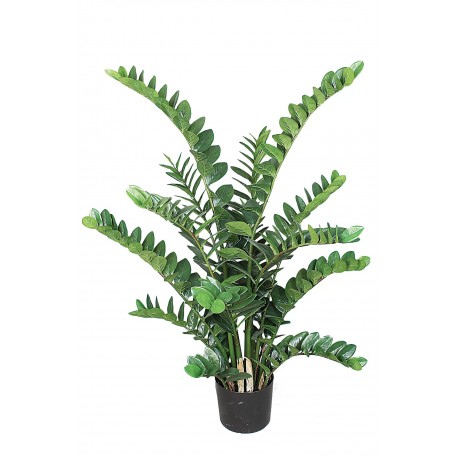 Zamioculcas Artificiale  Verde  Foglie Real Touch  H 120 cm