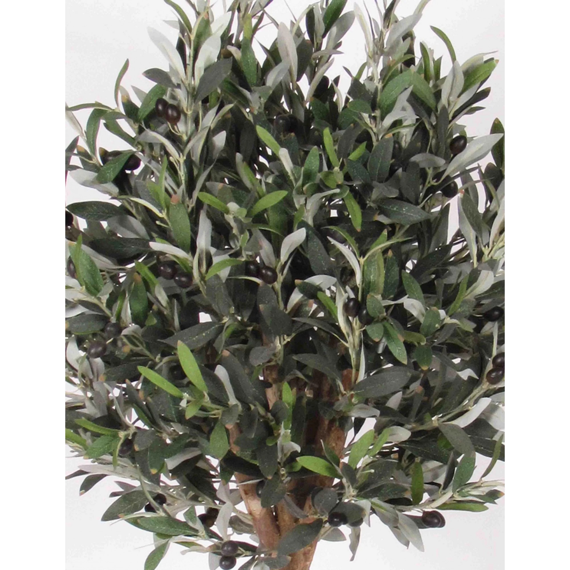 Giulia Grillo Olivo Ball Seminaturale  Verde con frutti  Tronco Mansanisi  H da 125cm