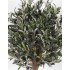 Olivo Ball Seminaturale  Verde con frutti  Tronco Mansanisi  H da 125cm