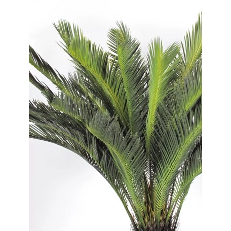 Palma Cycas Artificiale  UVR  28 Foglie  100 cm