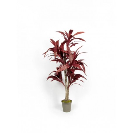 Dracena Semi-Naturale Rossa  UVR  Tronco Mansanisi H 150cm