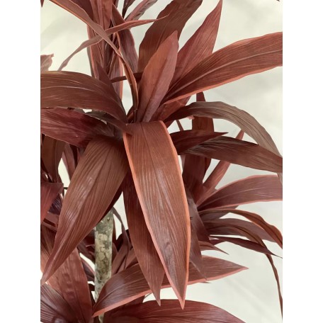 Dracena Semi-Naturale Rossa  UVR  Tronco Mansanisi H 200 cm