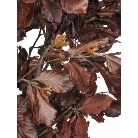 Faggio Stabilizzato  Rosso  Tronco Mansanisi h 150 cm