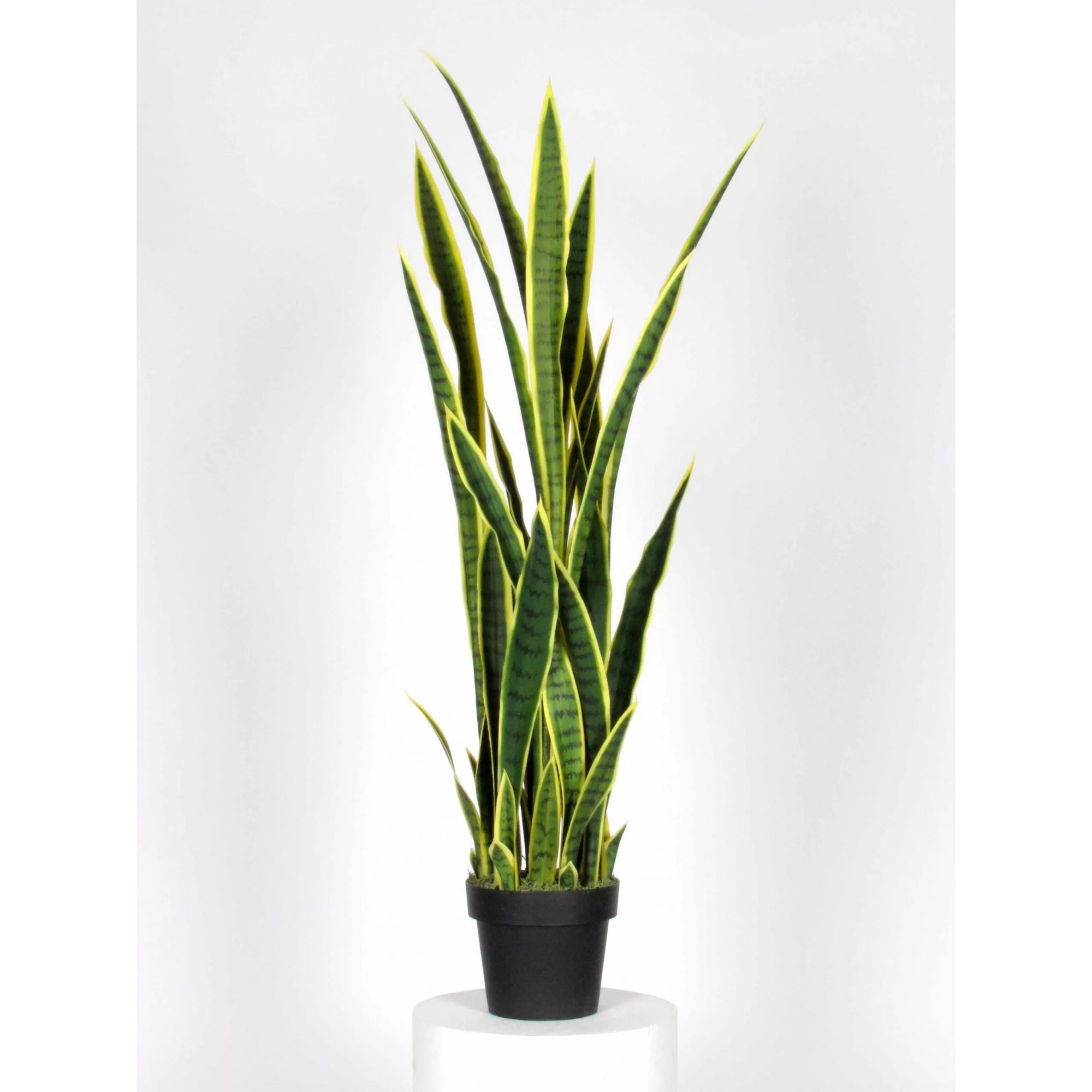 Giulia Grillo Sanseveria Artificiale  Variegata  High  UVR  H  130 cm