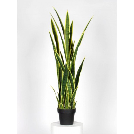 Sanseveria Artificiale  Variegata  High  UVR  H  130 cm