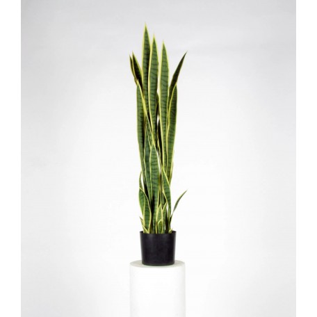 Sanseveria Artificiale  Variegata  High  UVR  H  130 cm
