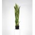 Sanseveria Artificiale  Variegata  High  UVR  H  130 cm