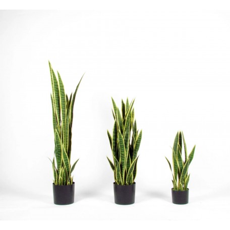 Sanseveria Artificiale  Variegata  Small  UVR  H 65 cm
