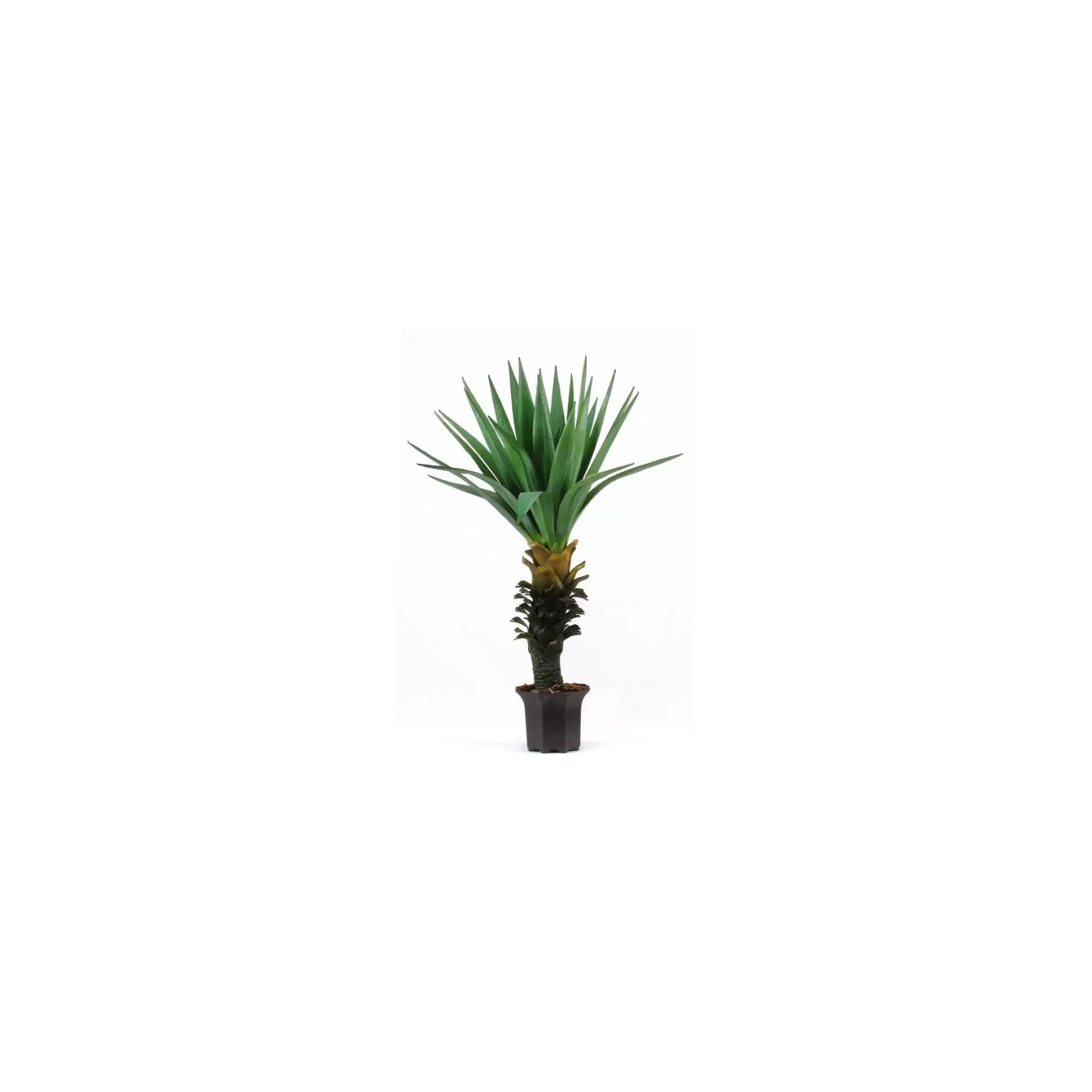 Giulia Grillo Yucca Artificiale  Verde  Medium  H 98 cm