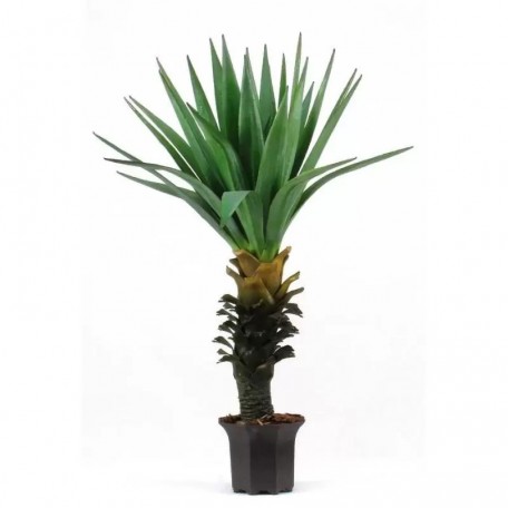 Yucca Artificiale  Verde  Medium  H 98 cm