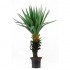 Yucca Artificiale  Verde  Medium  H 98 cm