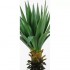 Yucca Artificiale  Verde  Medium  H 98 cm