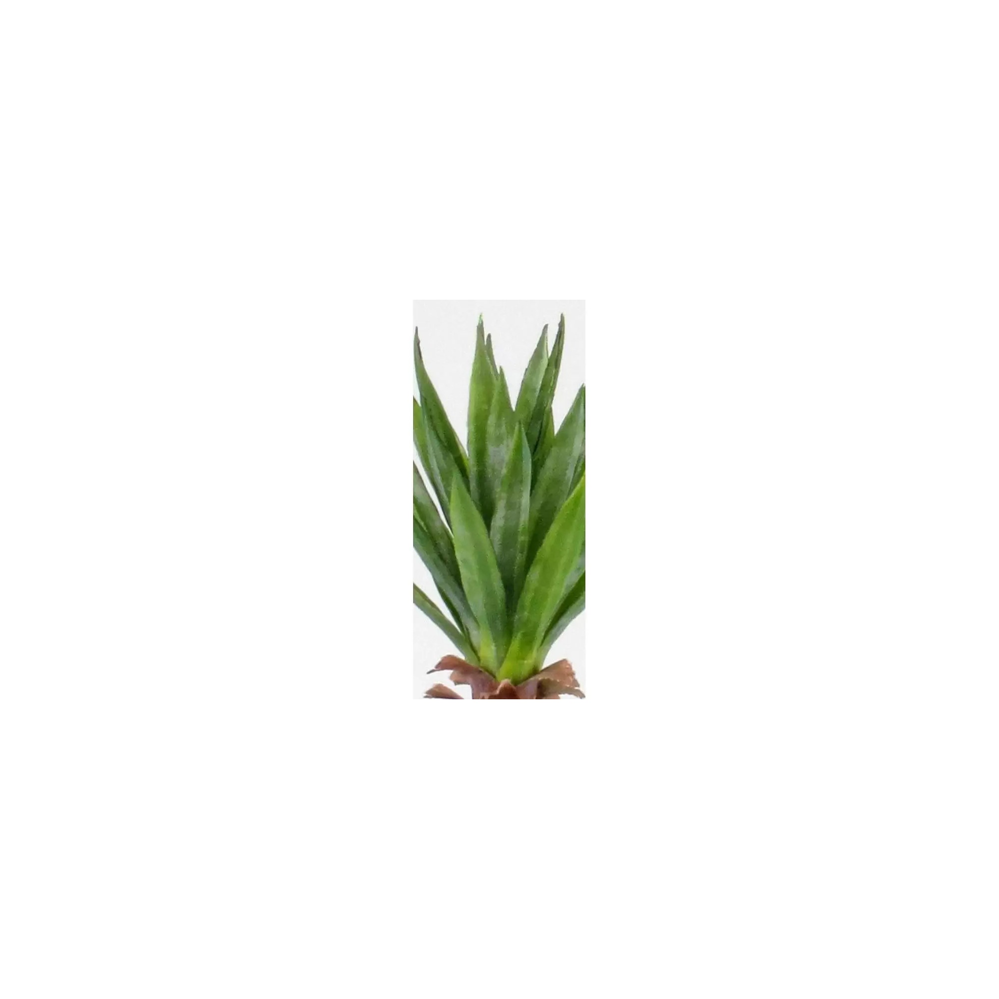 Giulia Grillo Yucca Artificiale  Verde  Small  H 50 cm