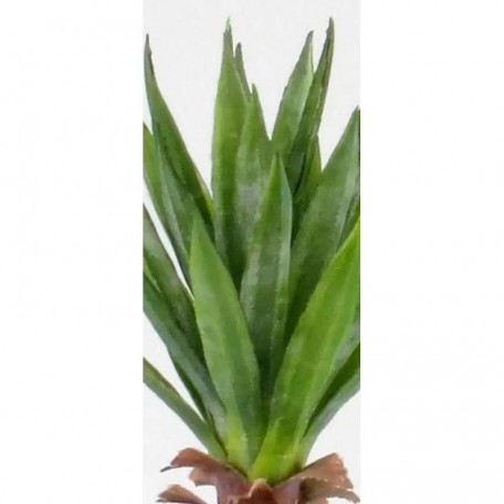 Yucca Artificiale  Verde  Small  H 50 cm
