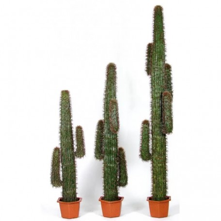 Cactus Mexico Artificiale  Verde h 140 cm