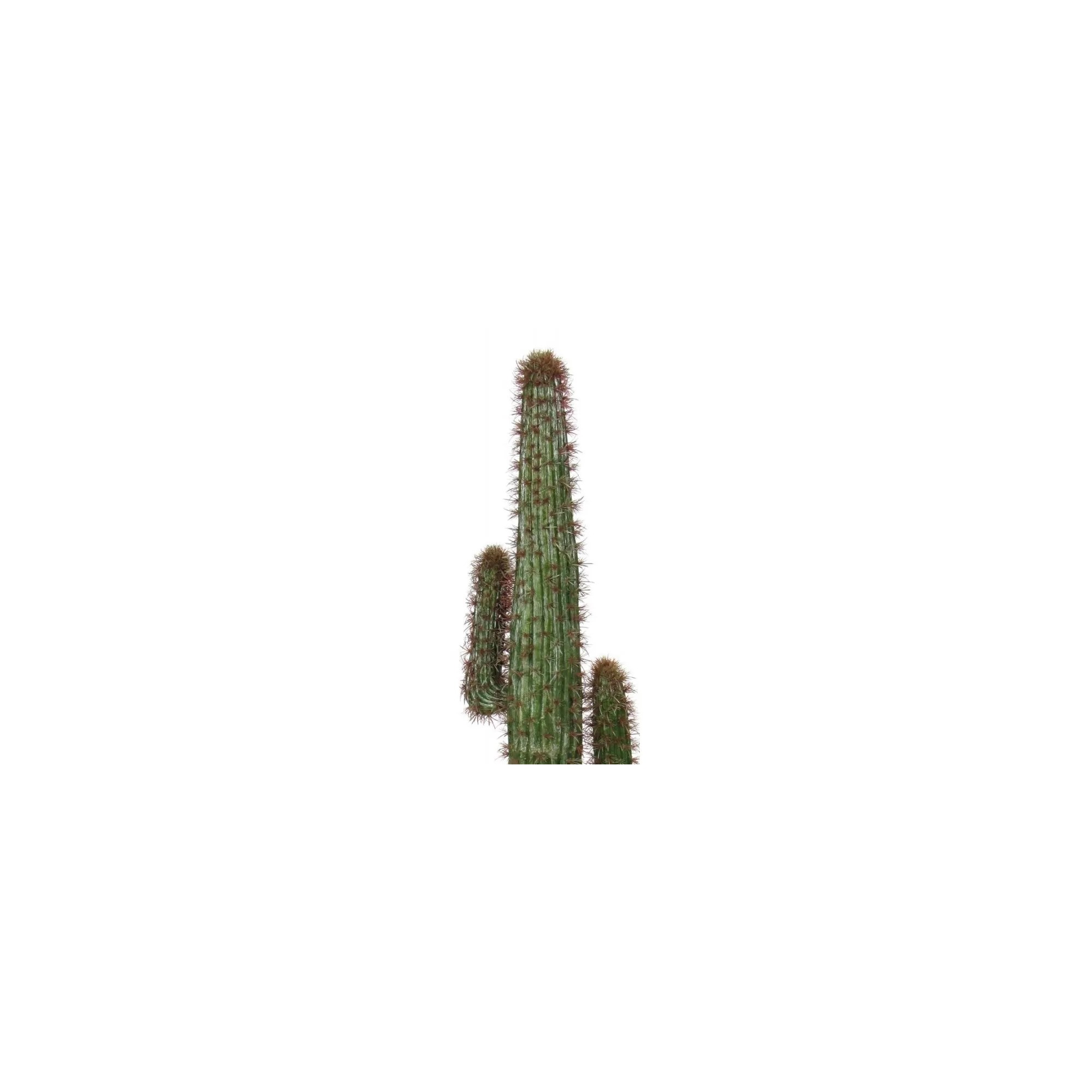 Giulia Grillo Cactus Mexico Artificiale  Verde H 230 cm