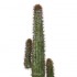 Cactus Mexico Artificiale  Verde H 230 cm