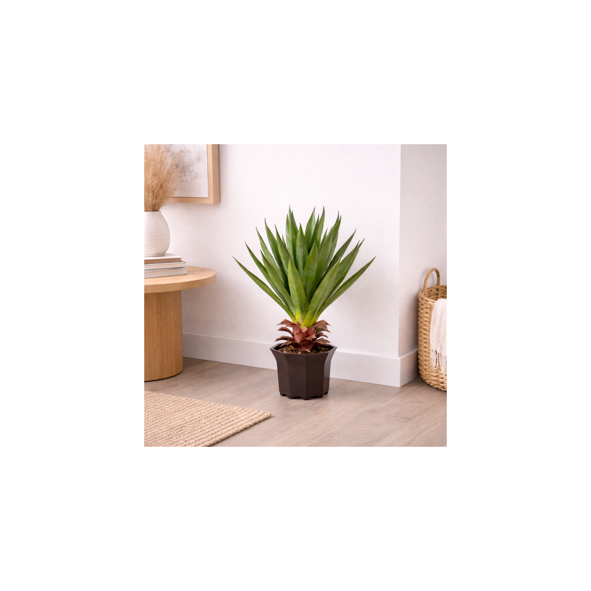 Giulia Grillo Yucca Artificiale  Verde  Small  H 50 cm