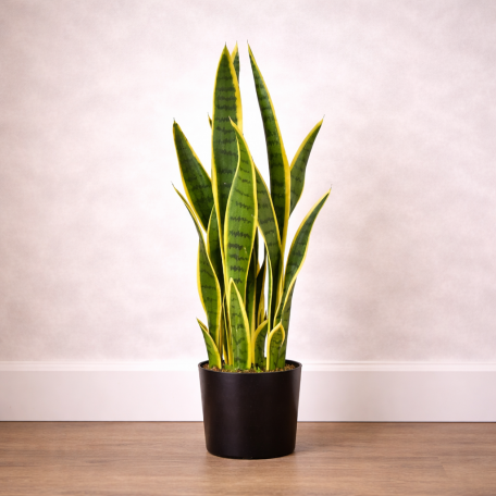 Sanseveria Artificiale  Variegata  Small  UVR  H 65 cm