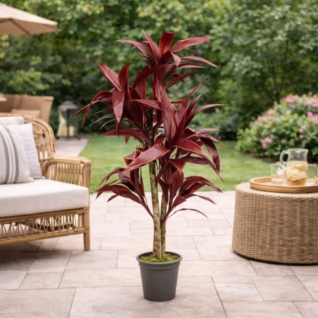 Dracena Semi-Naturale Rossa  UVR  Tronco Mansanisi H 150cm