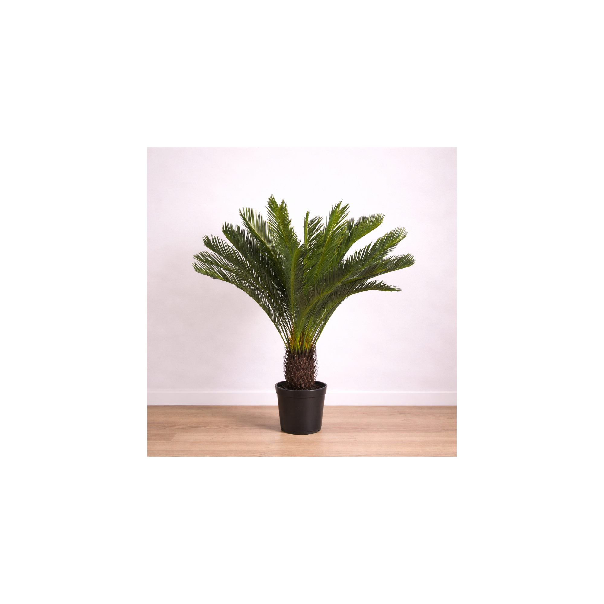  Palma Cycas Artificiale  UVR  28 Foglie  100 cm