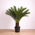 Palma Cycas Artificiale  UVR  28 Foglie  100 cm