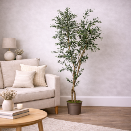 Olivo Seminaturale  Verde  Tronco Mansanisi H 210cm